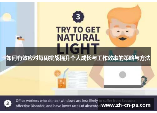 如何有效应对每周挑战提升个人成长与工作效率的策略与方法