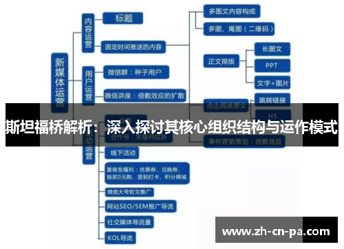 斯坦福桥解析：深入探讨其核心组织结构与运作模式