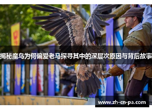 揭秘魔鸟为何偏爱老马探寻其中的深层次原因与背后故事