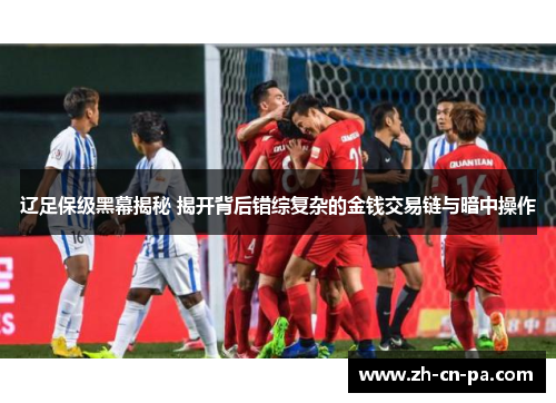辽足保级黑幕揭秘 揭开背后错综复杂的金钱交易链与暗中操作