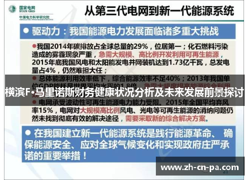 横滨F·马里诺斯财务健康状况分析及未来发展前景探讨