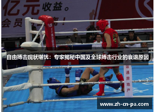 自由搏击现状堪忧：专家揭秘中国及全球搏击行业的衰退原因
